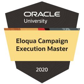 Eloqua Campaign Execution Master badge